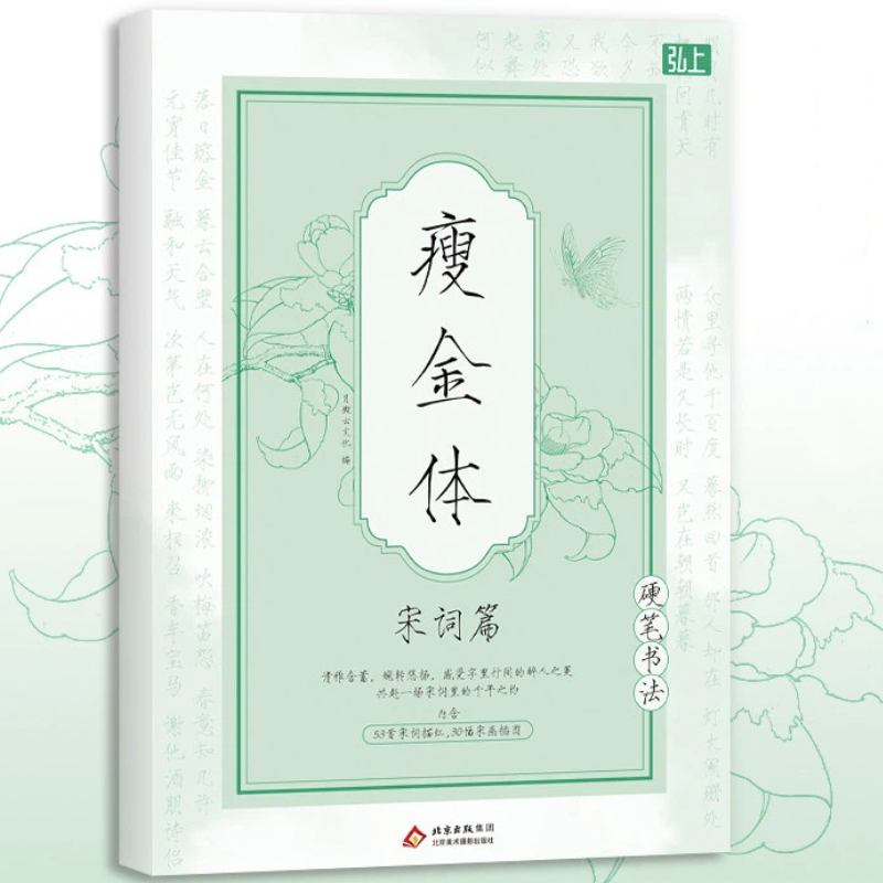 Książka do nauki chińskiego pi – Chinese Calligraphy Practice Book recenzja i cena