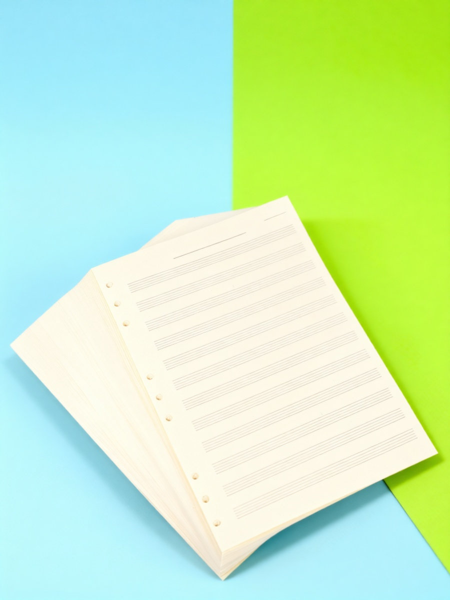 100 arkuszy papieru do notatek – Blank Sheet Music Notebook recenzja i cena